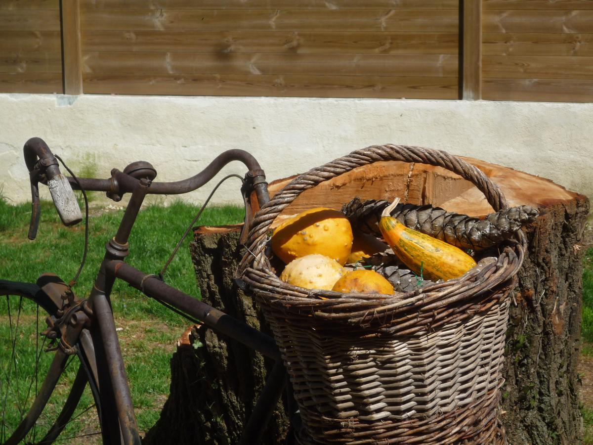 Bed and Breakfast Le Relais Du Grand Logis Civrieux Exterior foto